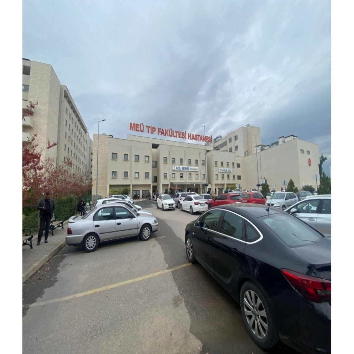 Mersin Üniversitesi Tıp Fakültesi (Temel Bilimler)