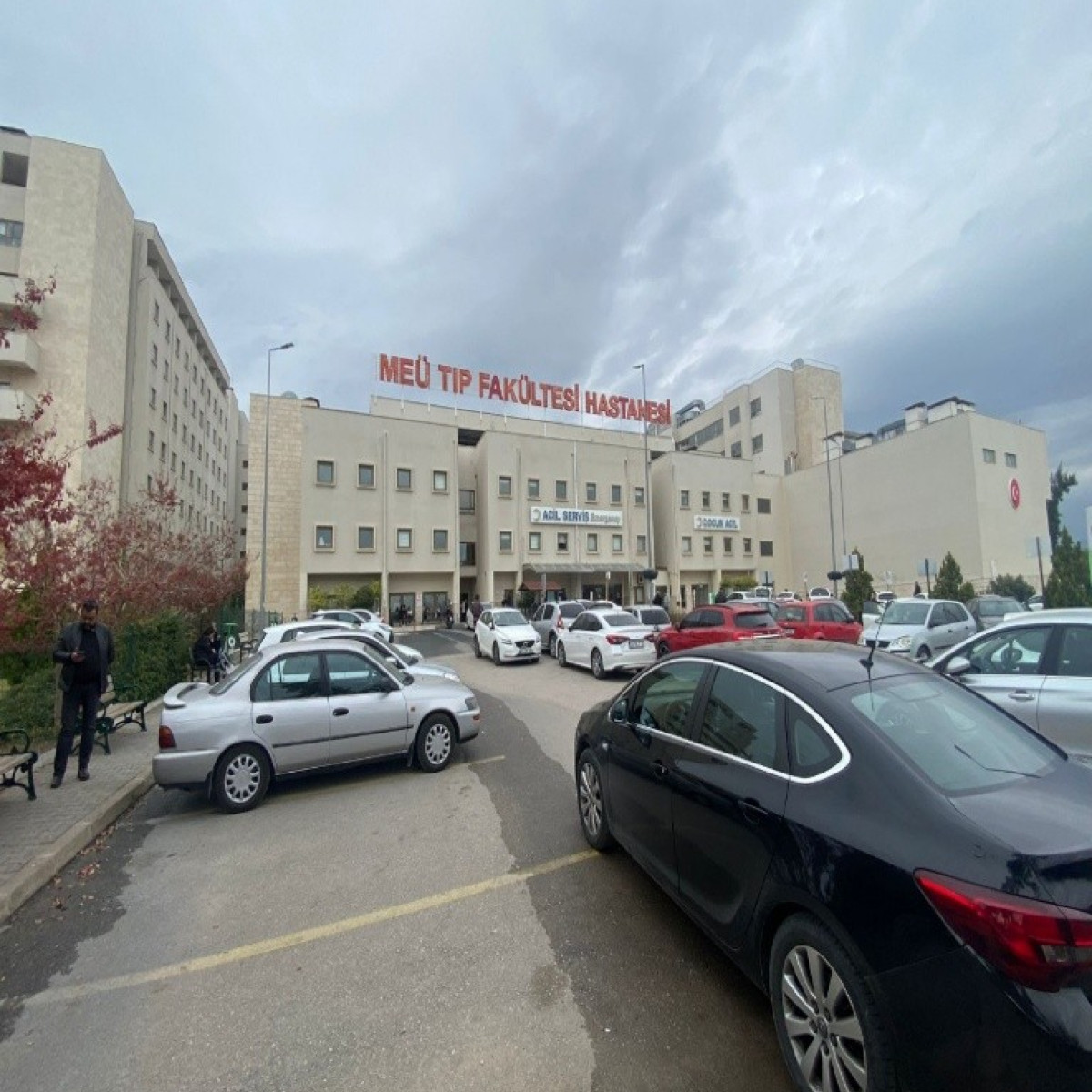 Mersin Üniversitesi Tıp Fakültesi (Temel Bilimler)