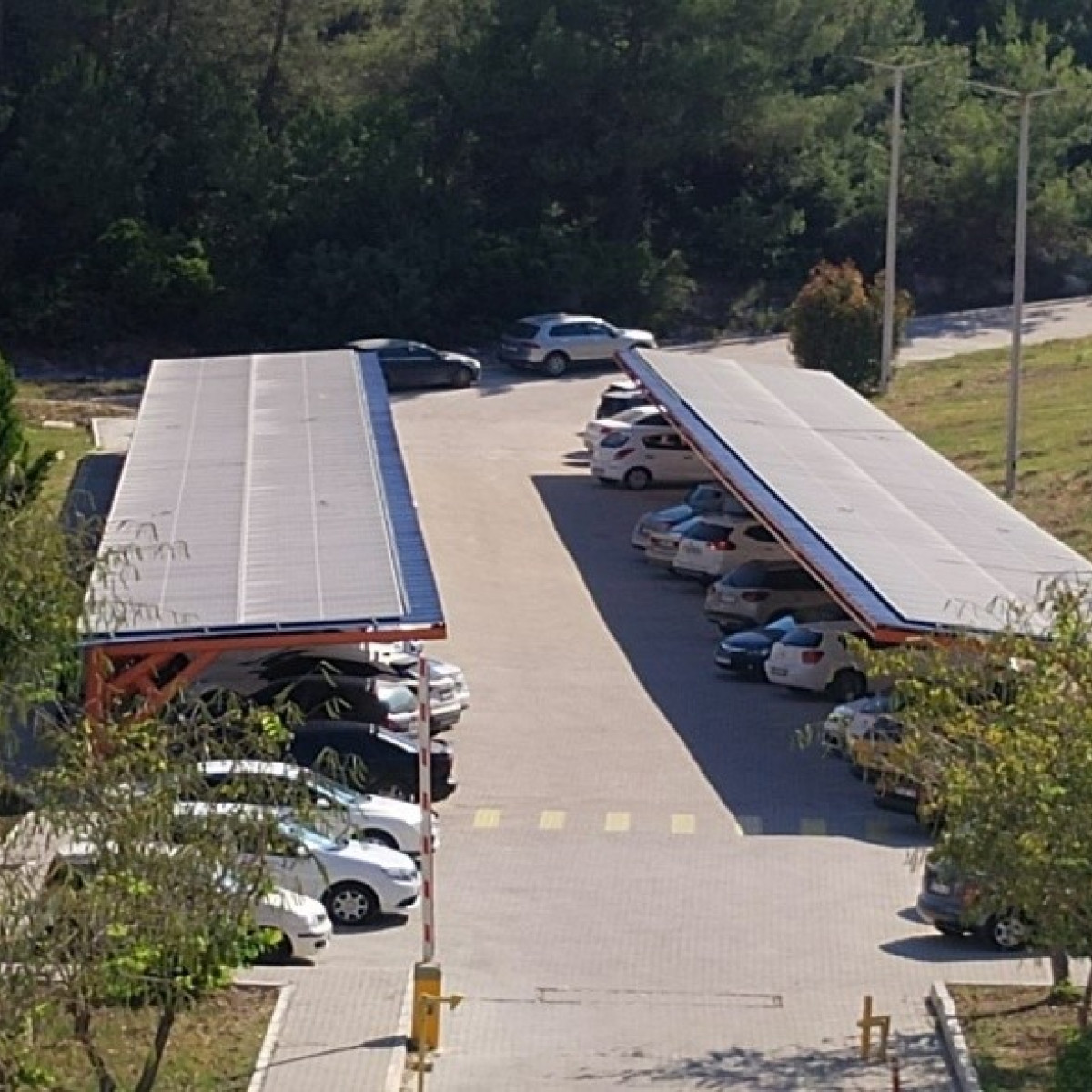 Mersin Üniversitesi Tıp Fakültesi (Temel Bilimler)